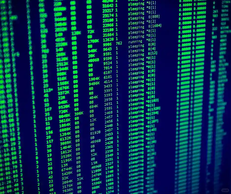 有遇到过算法更新后的排名波动？怎么应对？