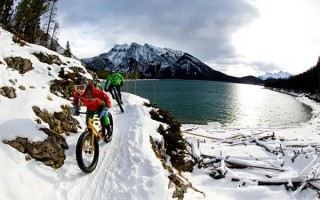 家具行业谷歌SEO推广技巧，以及家具行业为什么要做谷歌SEO推广？                    