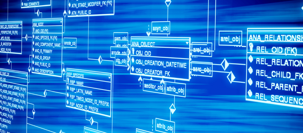 消费电子产品怎么利用谷歌做外贸网站推广                    
